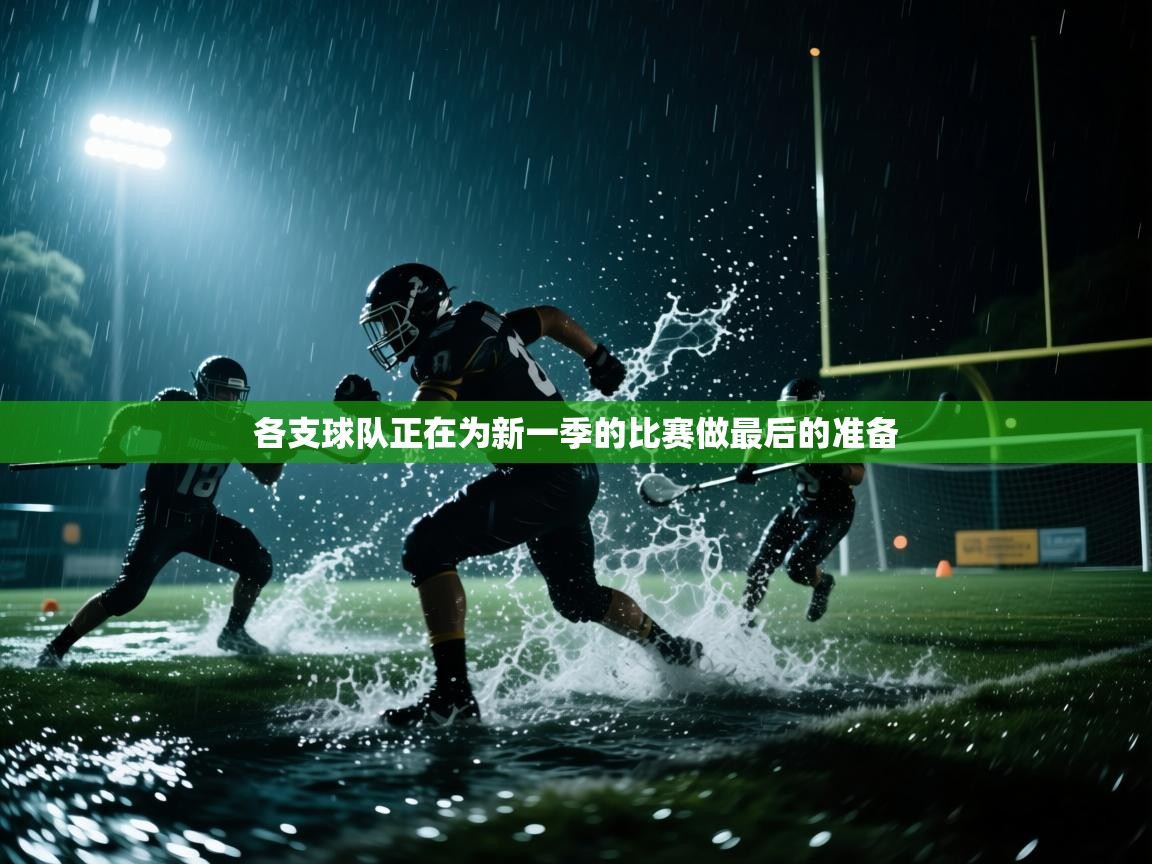 各支球队正在为新一季的比赛做最后的准备  第1张
