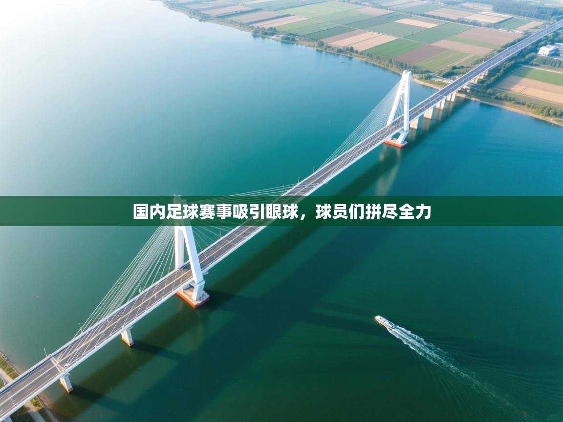 国内足球赛事吸引眼球，球员们拼尽全力  第2张