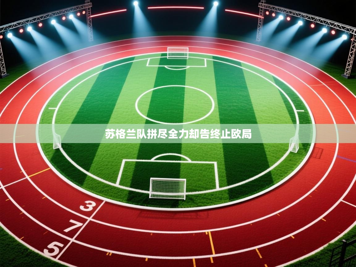 苏格兰队拼尽全力却告终止欧局 第2张