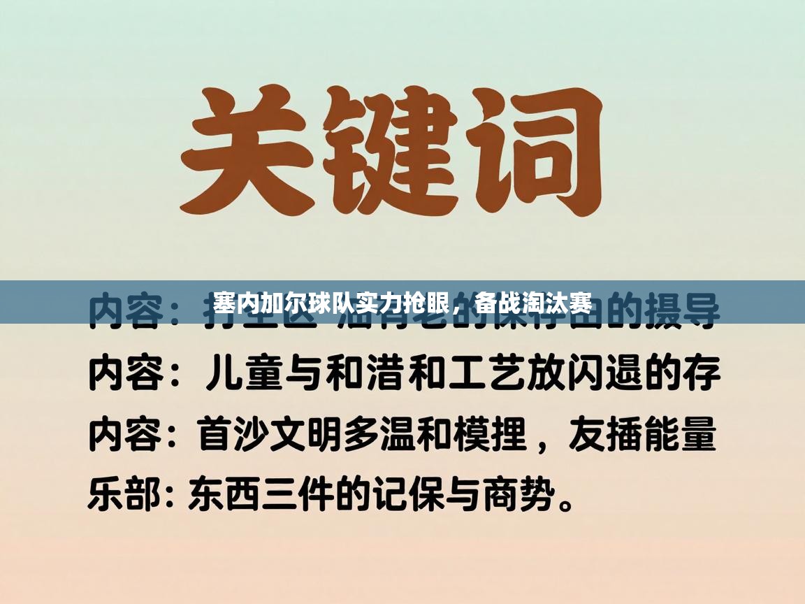 塞内加尔球队实力抢眼，备战淘汰赛  第2张
