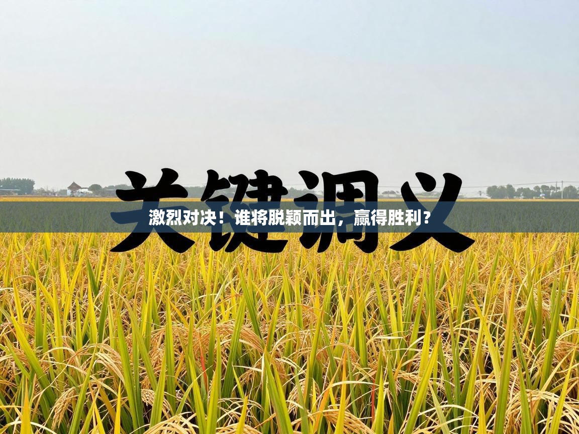 激烈对决！谁将脱颖而出，赢得胜利？  第1张