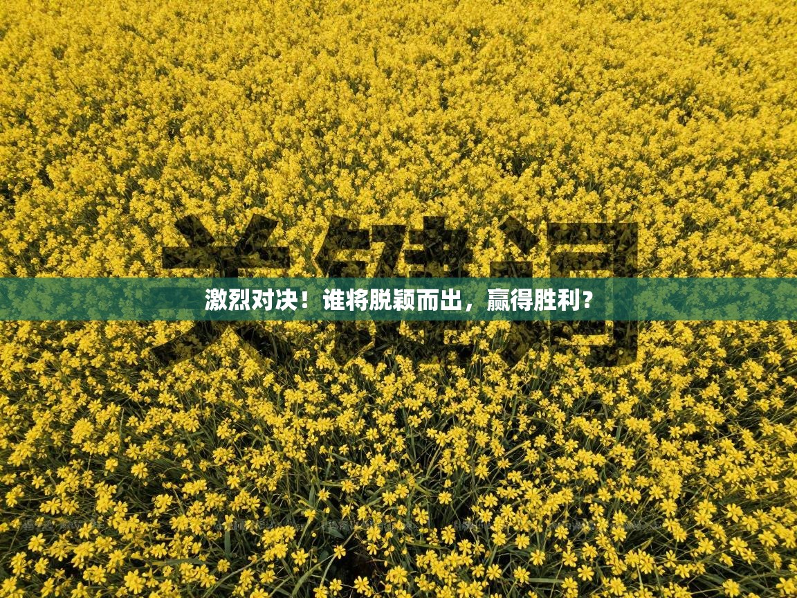 激烈对决！谁将脱颖而出，赢得胜利？  第2张